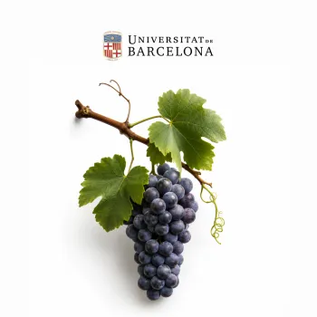 MasterVino