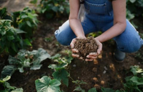 agricultura-regenerativa