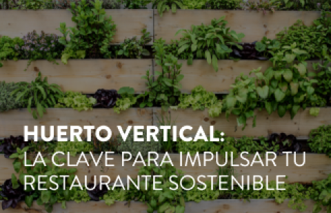 huerto_vertical