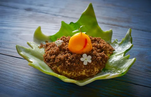 quimica-alimentos quimica-alimentos