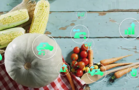 sostenibilidad-alimentaria