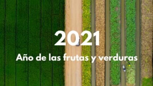 Blog: 2021 año fruta y verdura