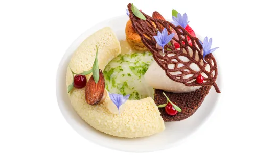 portada card ciclo superior direccion cocina