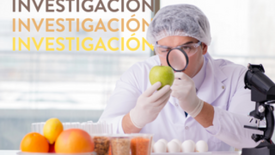 investigación