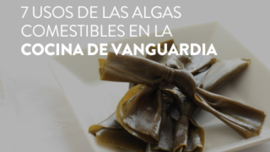 algas comestibles