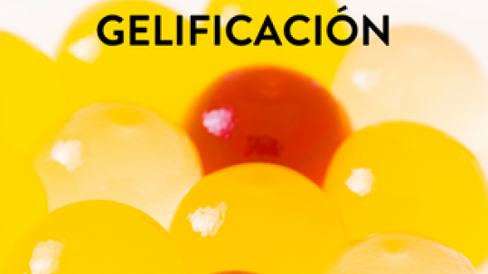 gelificacion