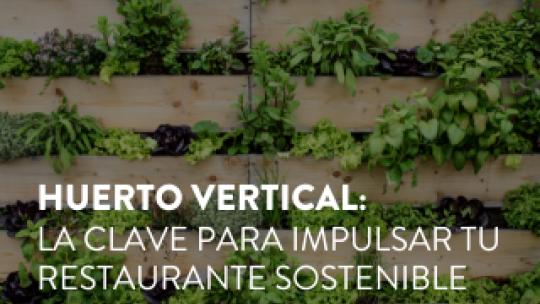 huerto_vertical