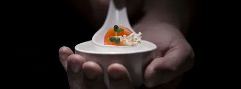 alta cocina