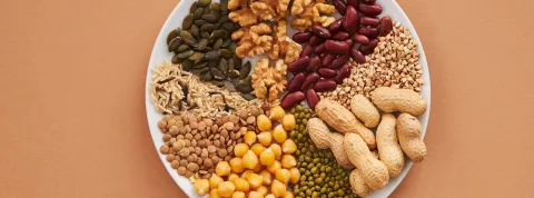 cabecera programa ciclo superior dietetica