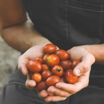 formacionprofesional